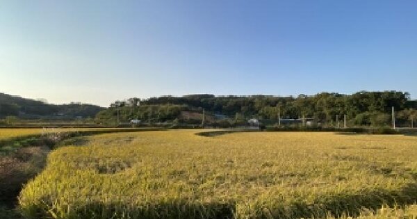 충청남도 당진시 순성면 봉소리 928 답 경매 물건 이미지