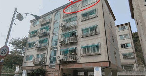 인천광역시 계양구 동양동 593-6 현대렉스힐 304동 5층502호 다세대주택 경매 물건 이미지
