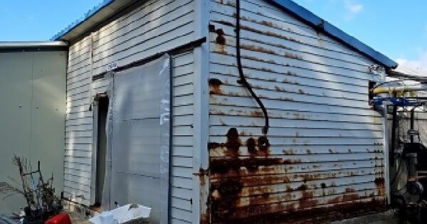 전라남도 완도군 완도읍 중도리 19-5  동물 및 식물 관련시설 경매 물건 이미지