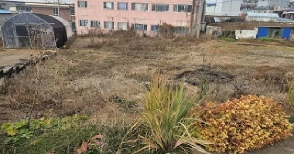 경기도 평택시 오성면 양교리 199-19 전 경매 물건 이미지