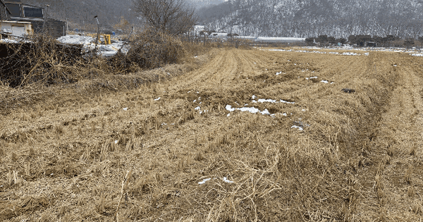 경기도 광주시 초월읍 지월리 238 답 경매 물건 이미지