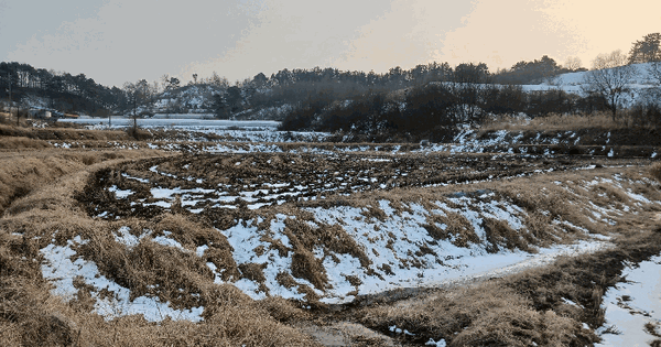 충청남도 부여군 부여읍 가증리 153-1 답 경매 물건 이미지