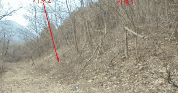 충청북도 단양군 적성면 하진리 24 전 경매 물건 이미지