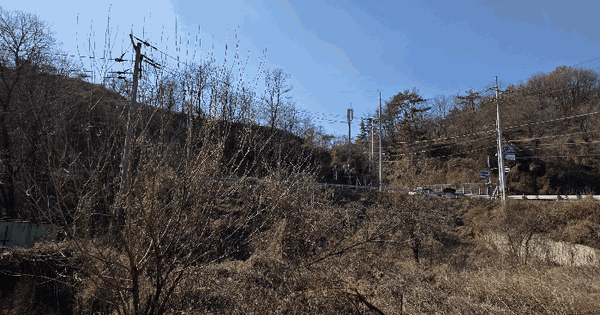 경상남도 의령군 용덕면 교암리 215-16 답 경매 물건 이미지