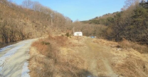 충청남도 부여군 은산면 나령리 507-2 전 경매 물건 이미지