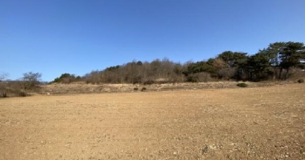 충청남도 태안군 고남면 장곡리 391 전 경매 물건 이미지