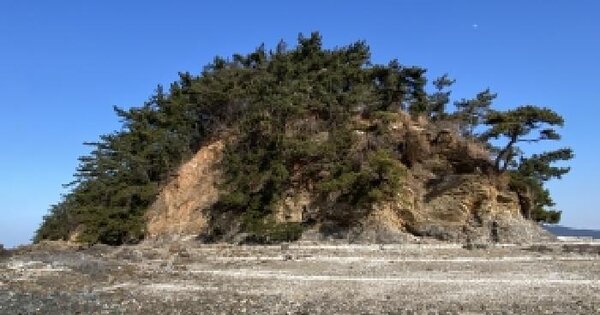 충청남도 태안군 이원면 내리 산102 임야 경매 물건 이미지