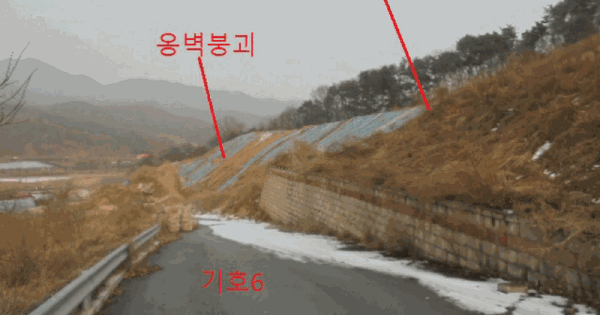 충청북도 음성군 생극면 오생리 525-4 임야 경매 물건 이미지