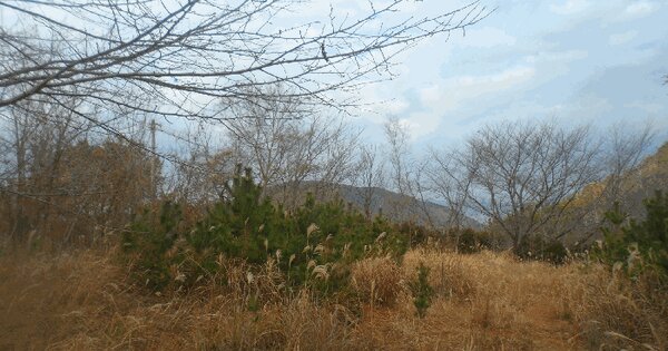 경상남도 통영시 산양읍 남평리 1135-1 전 경매 물건 이미지