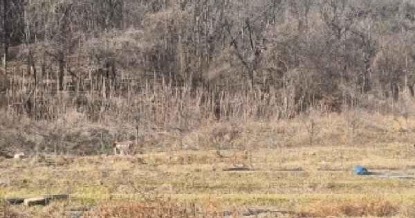세종특별자치시 장군면 산학리 408 전 경매 물건 이미지