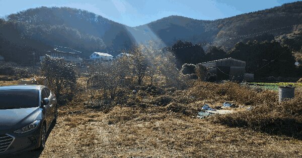 경상남도 통영시 평림동 500 답 경매 물건 이미지