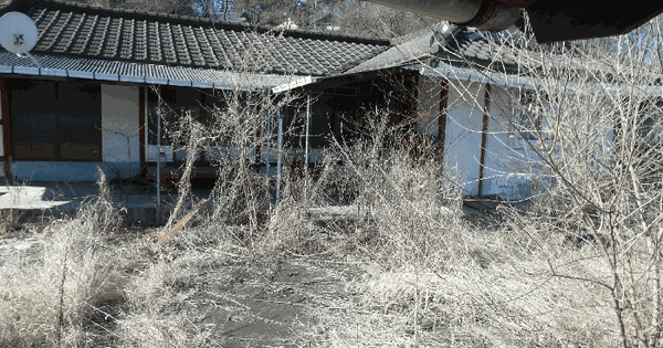 충청남도 논산시 강경읍 채산리 334 대지 경매 물건 이미지