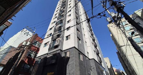 서울특별시 은평구 신사동 29-160 에스엠벨리체  8층803호 오피스텔 경매 물건 이미지