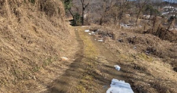 충청남도 아산시 영인면 아산리 204 전 경매 물건 이미지