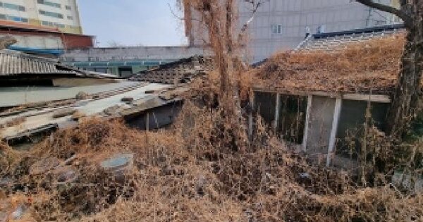 충청남도 금산군 금산읍 중도리 553-6 대지 경매 물건 이미지