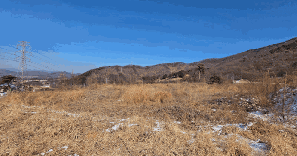 충청북도 청주시 청원구 내수읍 초정리 산44-23 임야 경매 물건 이미지