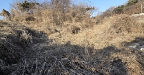 경기도 파주시 문산읍 사목리 216 전 경매 물건 이미지