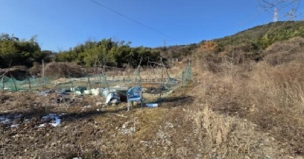 물건 대표 이미지