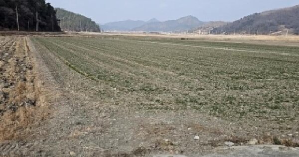 전남광주통합특별시 진도군 의신면 만길리 1786-8 답 경매 물건 이미지