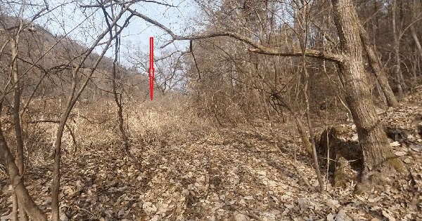 전북특별자치도 무주군 무주읍 당산리 440 답 경매 물건 이미지
