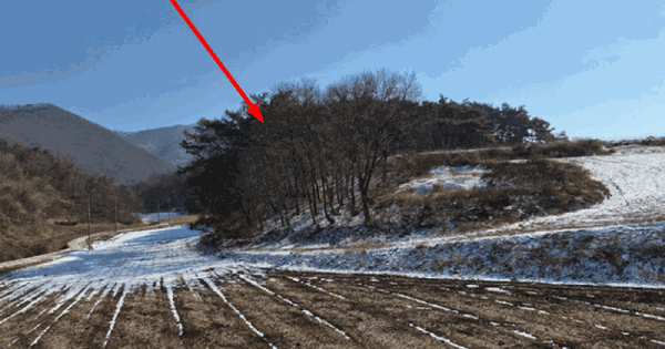 충청북도 단양군 어상천면 율곡리 310 임야 경매 물건 이미지