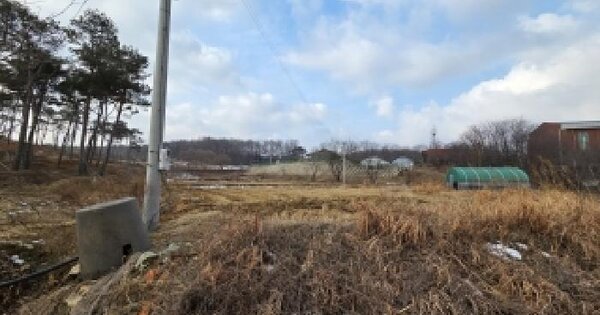 충청남도 당진시 송악읍 본당리 280 전 경매 물건 이미지
