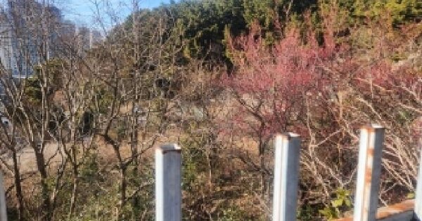 부산광역시 해운대구 우동 1202-6 전 경매 물건 이미지