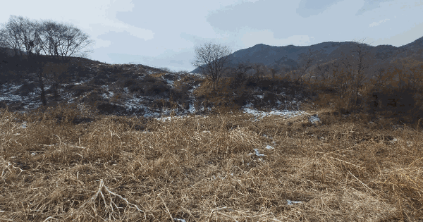충청남도 예산군 덕산면 대치리 253 전 경매 물건 이미지