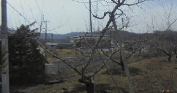 충청북도 음성군 음성읍 신천리 574-1 전 경매 물건 이미지