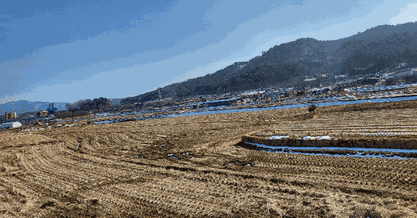 전남광주통합특별시 영광군 영광읍 연성리 198 전 경매 물건 이미지