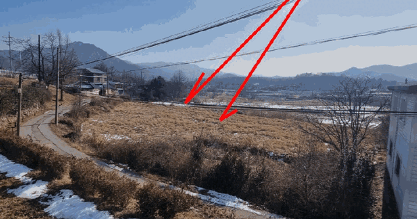 충청남도 아산시 법곡동 6-1 답 경매 물건 이미지
