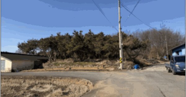 전라남도 나주시 부덕동 456 과수원 경매 물건 이미지