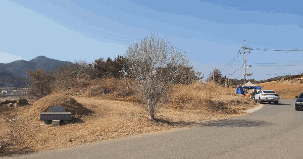 전라남도 여수시 화양면 용주리 산119 임야 경매 물건 이미지