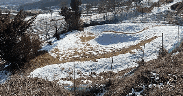 경기도 안성시 죽산면 용설리 1041-1 전 경매 물건 이미지