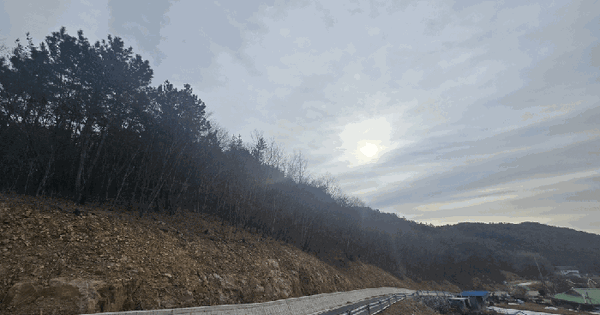 경상남도 진주시 명석면 용산리 산41-5 임야 경매 물건 이미지