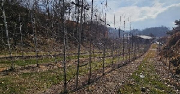 경상북도 영주시 평은면 평은리 915 전 경매 물건 이미지