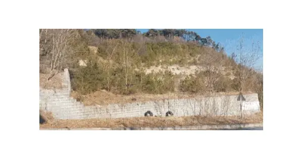 충청남도 예산군 덕산면 신평리 317-5 임야 경매 물건 이미지