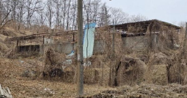 충청북도 음성군 음성읍 읍내리 770-10 과수원 경매 물건 이미지