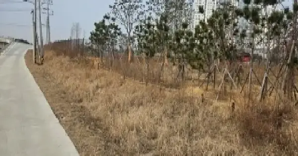 경기도 평택시 소사동 429-1 답 경매 물건 이미지