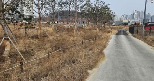 경기도 평택시 소사동 177-3 답 경매 물건 이미지