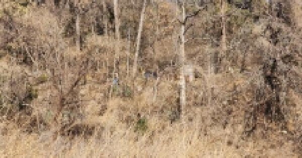 전남광주통합특별시 여수시 만흥동 1069 전 경매 물건 이미지