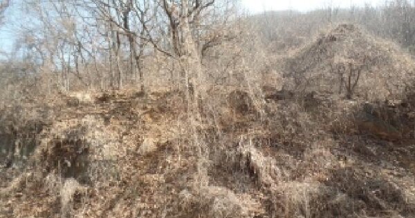 충청남도 논산시 연산면 신암리 48-22 임야 경매 물건 이미지