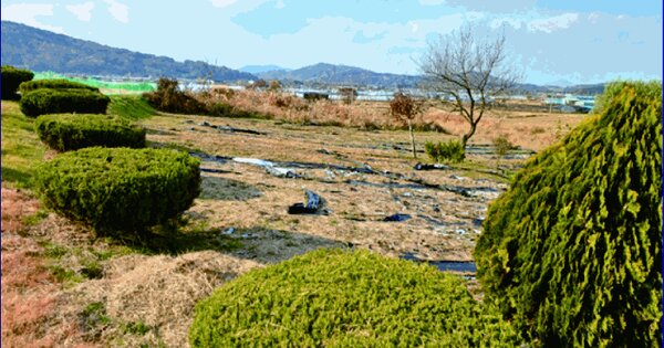 충청남도 논산시 양촌면 신흥리 15-6 전 경매 물건 이미지