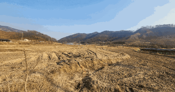 충청북도 음성군 원남면 덕정리 262 답 경매 물건 이미지