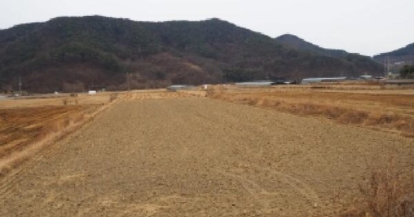 경상남도 밀양시 청도면 조천리 250 답 경매 물건 이미지