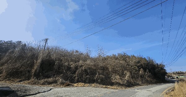 충청남도 보령시 오천면 원산도리 산82-7 임야 경매 물건 이미지