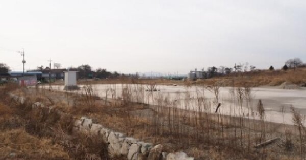 경상남도 창녕군 영산면 월령리 165-2 답 경매 물건 이미지