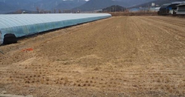 경상남도 밀양시 부북면 청운리 472-13 답 경매 물건 이미지