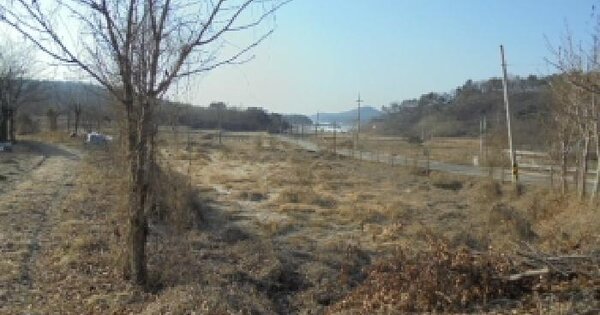 충청남도 논산시 노성면 가곡리 138 답 경매 물건 이미지