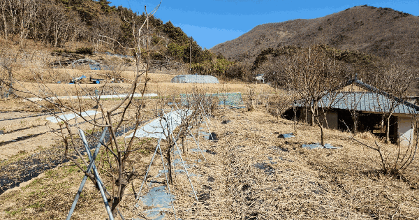경상남도 거제시 동부면 구천리 301-1 답 경매 물건 이미지